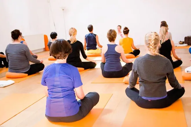 Online Class (60 min) All Levels Hatha Yoga